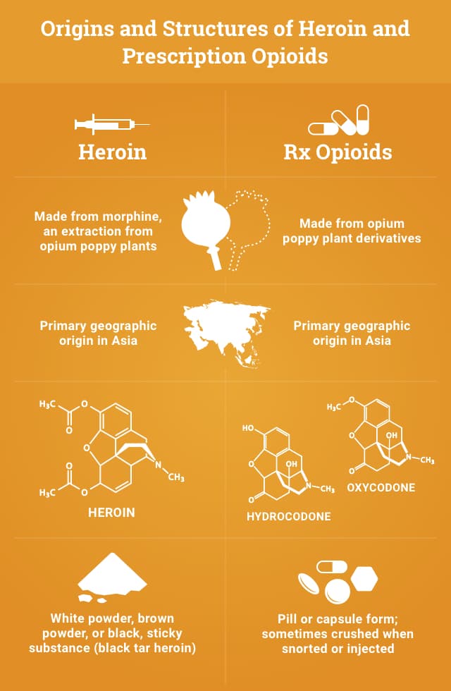tramadol vs hydrocodone opioids drugs pictures
