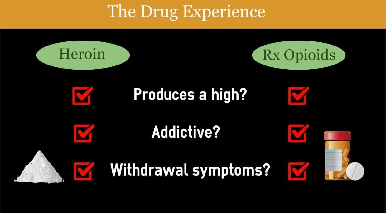 The Drug Experience